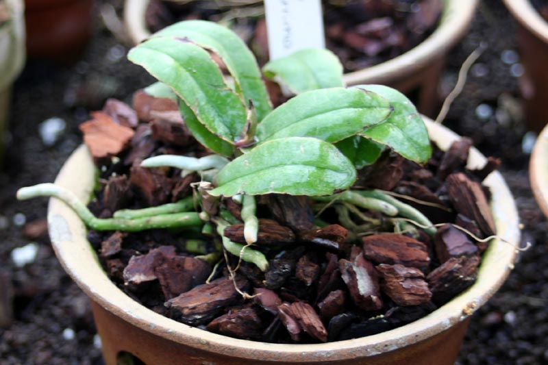 Killikus&reg; Fotographie